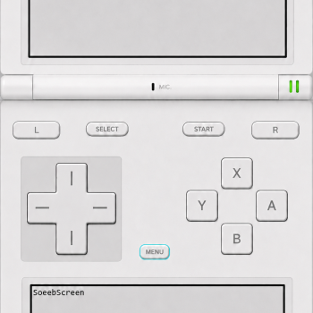 Screenshot for NDS portrait skin